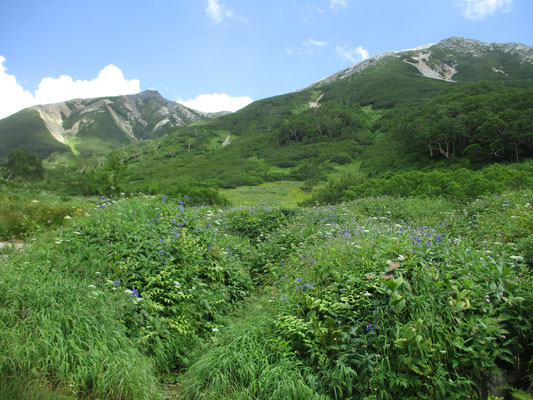 心癒される眺め　左がワリモ岳　右が鷲羽岳