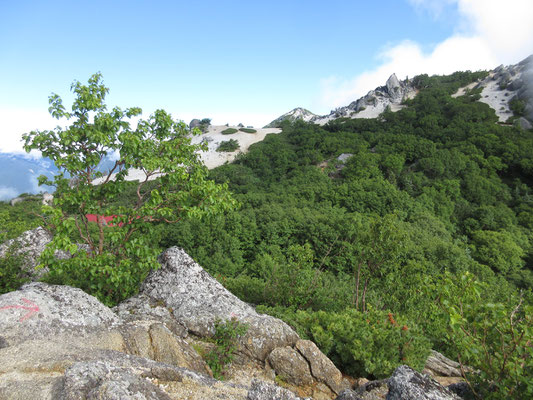 左の緑の中に赤い屋根の「薬師小屋」が見えるが、一旦そこまで下って登り返す　気持ちもはやる