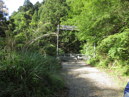 分岐する林道を行くとすぐゲート　しばらく林道歩きとなる