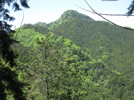 同じく、下る手前で姿を現した熊古谷山　あの山頂に居たわけで、急な階段状の登山道が納得