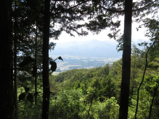 山頂の樹間からの景色　これもうまく写らない