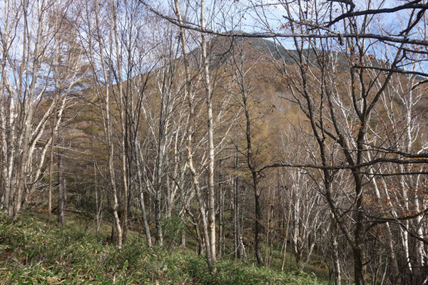 上に出た途端、蓼科山がドーンっと見える