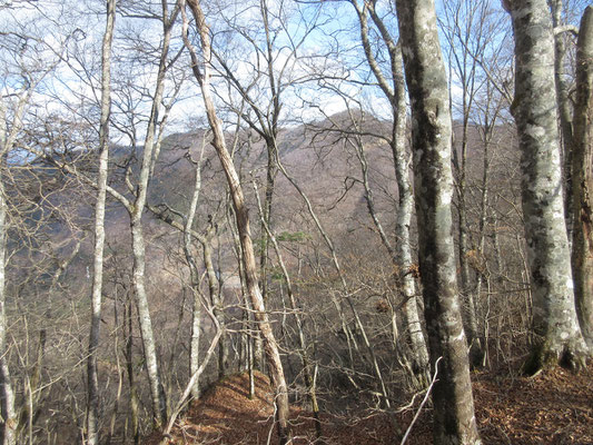 大沢山方面が見える　