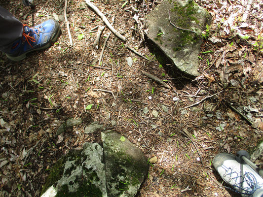 登山靴にはさまれた地面をよく見てください　緑の細い棒状のものが無数に落ちています　新緑の季節＝オトシブミの最盛期です！