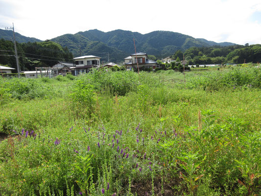 経ヶ岳方面を眺める