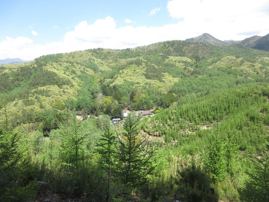 1109ピークからの眺め　足下の集落が樫山　歩いた山の中はつまり古の人々が例えば増冨温泉に行く為、村落との行き来に使った生活道を辿ったわけで、今の季節、そこはまさに「世にも美しい新緑の稜線」「奇跡のような稜線」と言うに相応しい場所だった