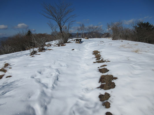 そしてひと登りでハンゼノ頭の広々とした山頂に到着