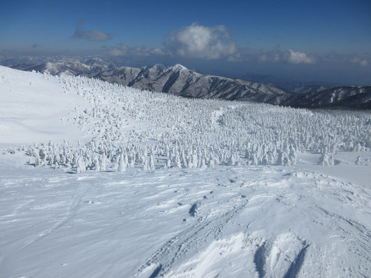 雪原と樹氷2