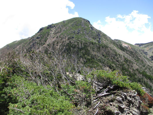 これから登る西天狗岳も見えてきました