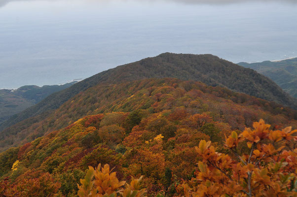 紅葉の山稜が日本海に向かっている