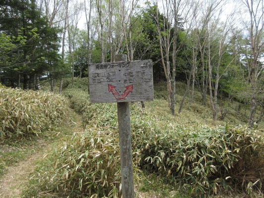 山名由来の御池への分岐　池へはかなり下る　ここで駐車していた豊橋ナンバーの方と出会ったが、あまりパッとしない所だったの感想