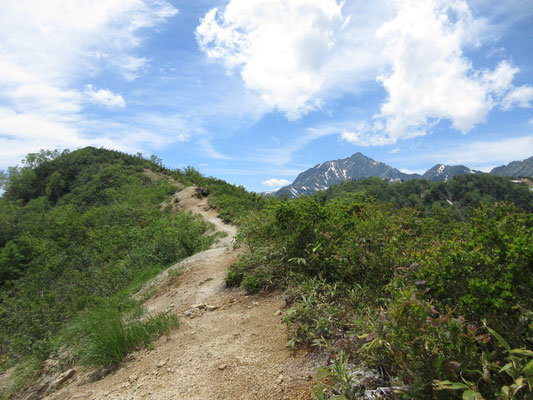 スケッチ後、高山トレッキングらしい稜線を辿っていくと、見えました！　鹿島槍ヶ岳♡