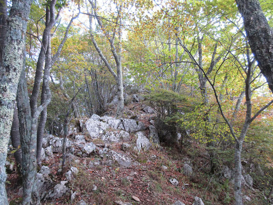 この辺り一帯の山々は、こうした岩場を抱えている　