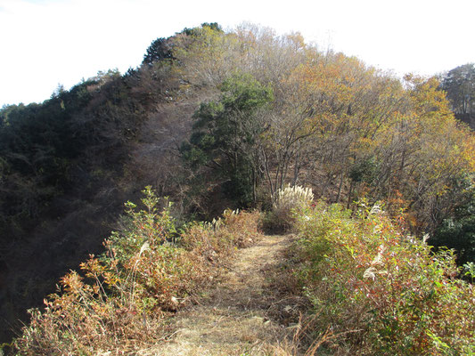 下山はどうしよう？と相談しつつ、峰山方面に向かうことにする　そこには高圧線の鉄塔の“見晴台”がある