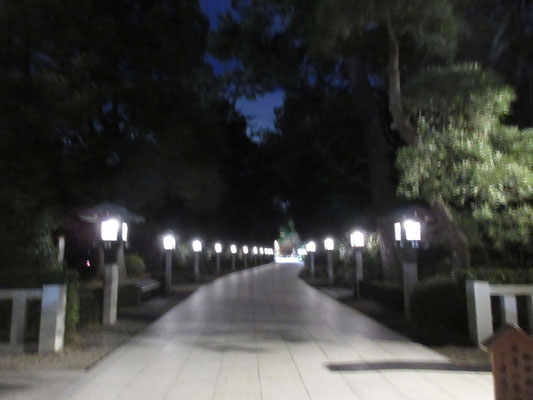 辿り着いた神社の、石の太鼓橋を渡るとこんな景色になった　誰もいない…　静謐とも言える境内内を進む