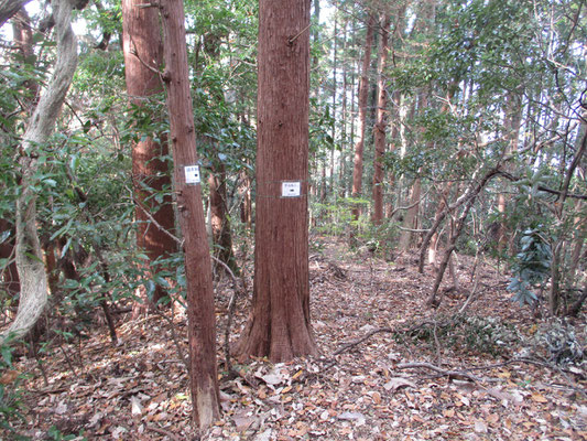 途中には「西山を守る会」で付けた標識もある