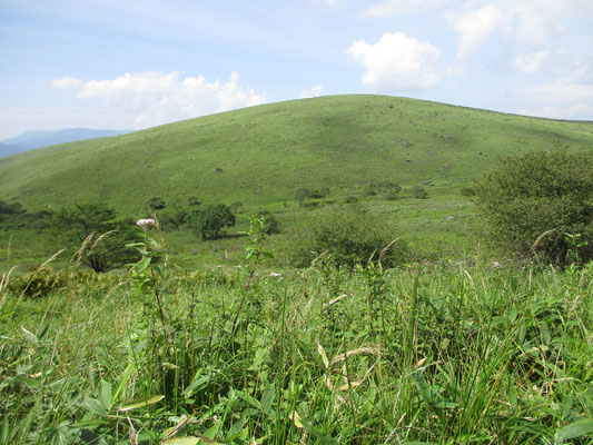 レンズ型の蝶々深山