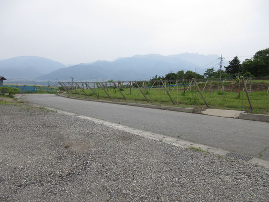 向こうに櫛形山がきれいに見えた