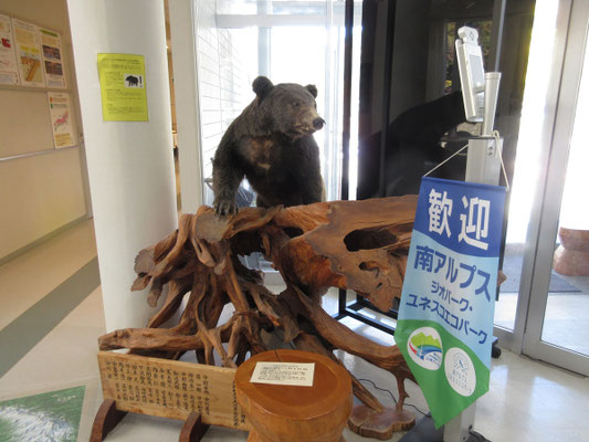 今話題のクマさんも歓迎しています