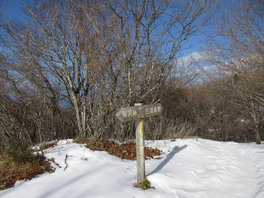 ひと登りで柳沢ノ頭に到着