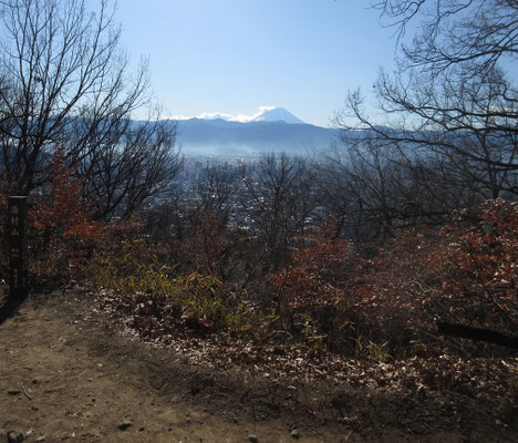 大抵富士山の方は切り払いがしてあり見通しがきく