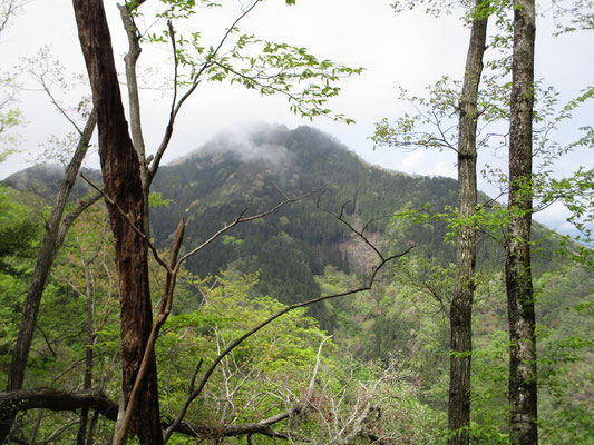 稜線を進むと、向こうに倉岳山の姿が見えてきました