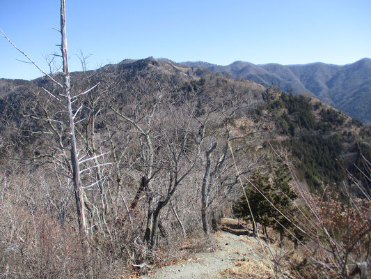 縦走路として甲州高尾山からつづく向こうにはセットで登るような棚横手のピークが見える