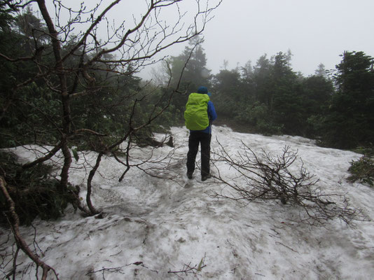 ところどころに残雪がある　