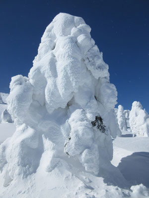 大きな樹氷