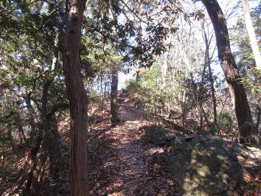 ちょっと岩っぽい部分もある登山道を登っていくと〜