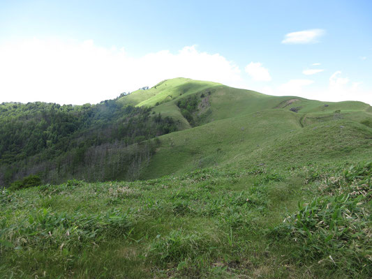 再びカッコいい三峰山とご対面