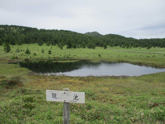 池ノ平の鏡池　この頃になると雨がポツポツしてきました