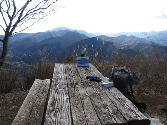 こちらはコレクション的に毎度描いている大山そのもの