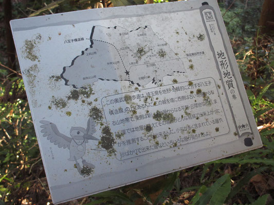 この辺りの道は「奥武蔵遊歩道」となっているらしく、各所に古びているがこんな説明板があった
