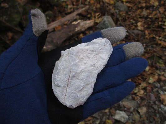 沢沿いの登山道が荒れているせいか、きれいな色んな石が目立つ　これは真っ白な石灰岩