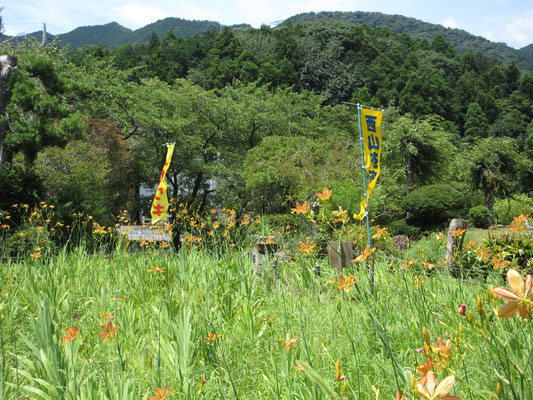 西山・経ヶ岳の前山をバックに