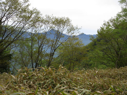するとこんな眺望も得られて嬉しくなるし〜
