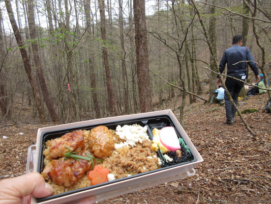 この日のお弁当は高崎駅で仕入れた鶏弁当（「たかべん」の鶏弁当は売り切れで残念ながら日本橋のものだった💧）