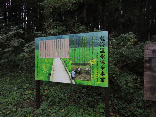 ここの湿原は武蔵野市立第五中学校の生徒さんたちが定期的に整備をしているとのこと