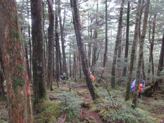 そして下山開始