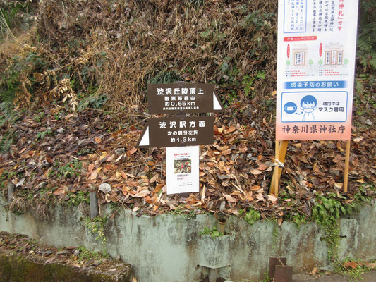 須賀神社の鳥居脇に丘稜に取り付くポイントがある　ここからが通称「忍者みち」