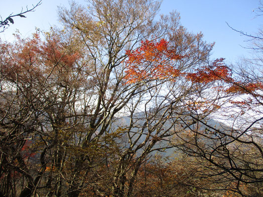 その日見納めの紅葉と武甲山