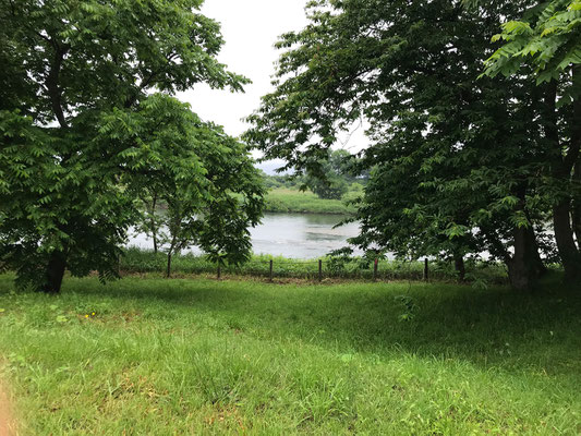 当時と違い、ゆうゆうと水が流れる北上川　毎年、賢治の命日である9月21日には周辺のダムや発電所などの協力で水位を下げる努力をしているとのこと　その時には岸辺に「イギリス海岸」が現れるのだろうか…