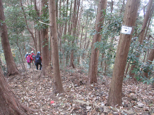 往路と同じ道を今度は急降下