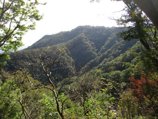 荻野高取山の稜線がすっきり見えてきた