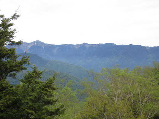 左側方面の山並み　左が茶臼岳　右の易老岳へつづく