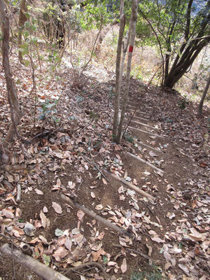 スケッチもして下山開始！　ここでも手作り階段