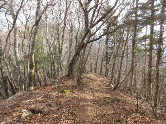 再び下山開始