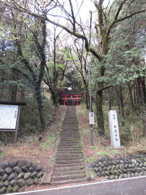 当日の本命　新府城址に行く