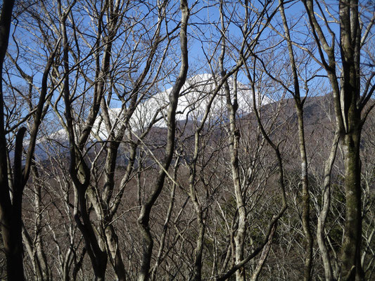 登っていくと富士山もお目見え